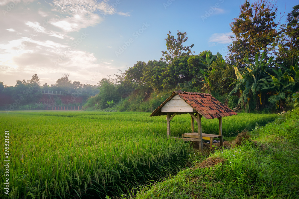 Small huts in the rice fields, beautiful view on the village Small huts in the rice fields, beautiful view on the village
