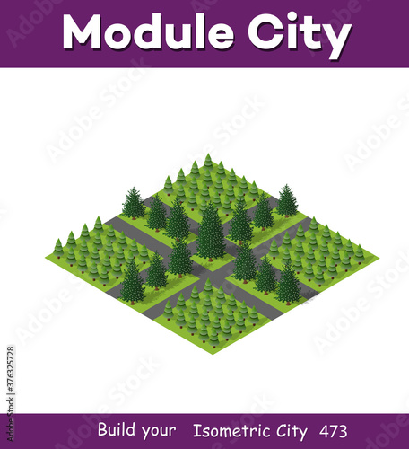 Isometric 3d park with a green tree of summer