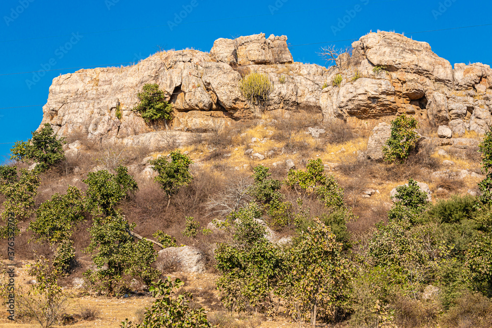 Ranthambhore National Park, Rasjasthan. India Ranthambhore National Park, Rasjasthan. India