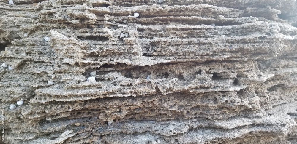 close up of a beach rock
