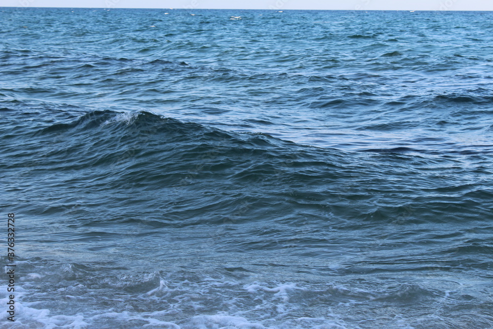 Frolicking Ocean Waves