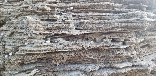 close up of a beach rock
