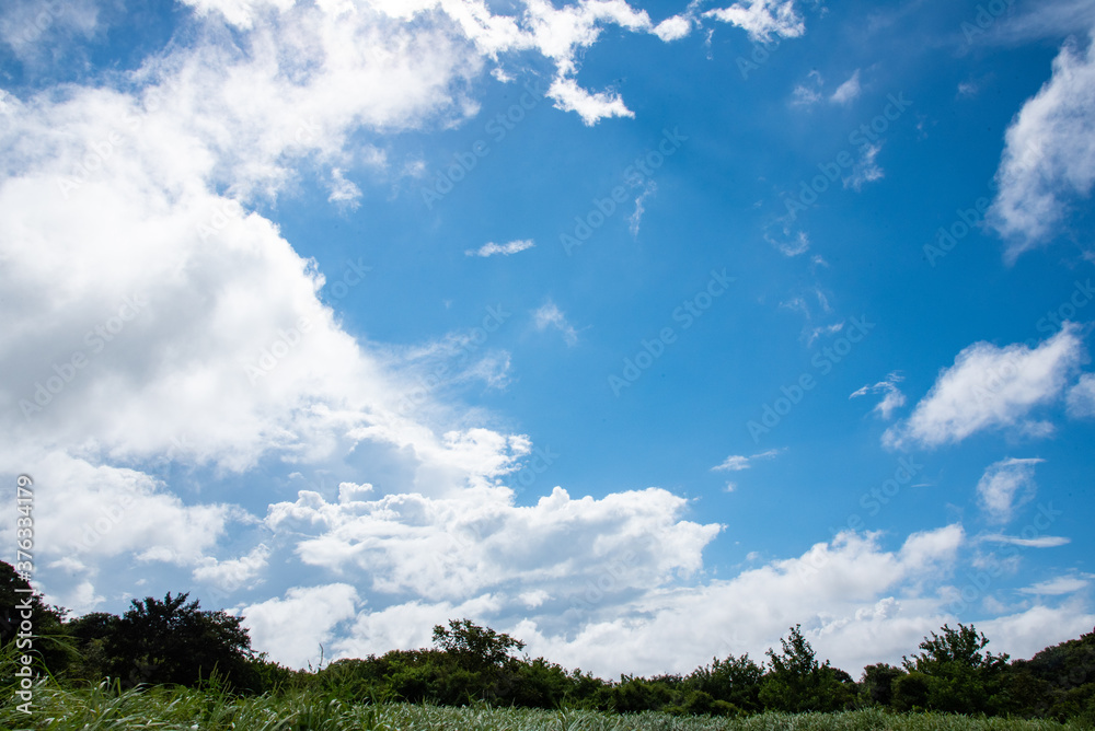 青空