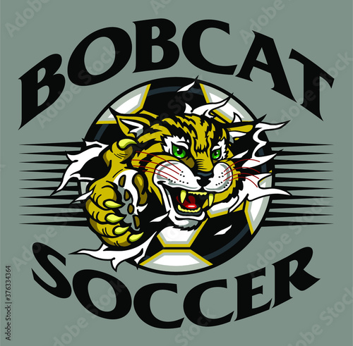 bobcat soccer team design with mascot ripping out of ball for school, college or league