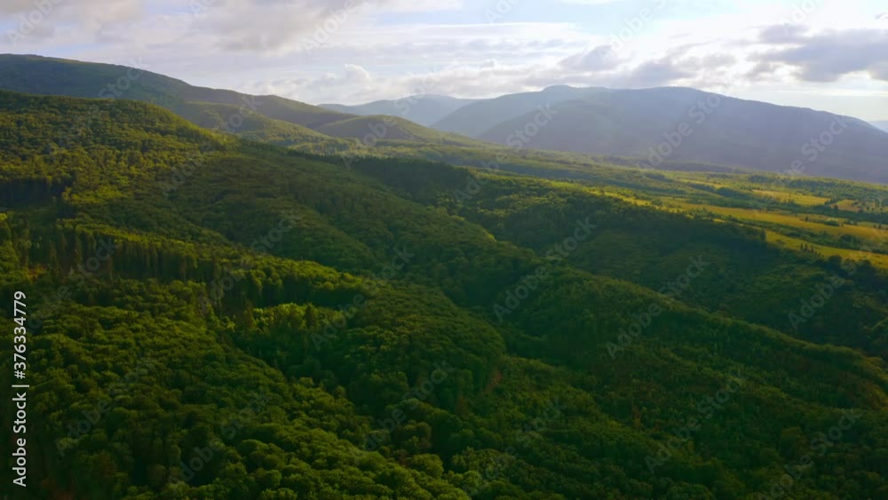 amazing view above forest with lush green foliage sun rays shine through the clouds amazing view above forest with lush green foliage sun rays shine through the clouds