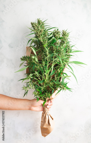Hand holding Valentine's Day cannabis flowers