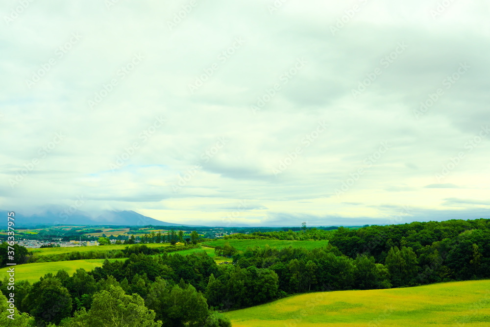 Fototapeta premium 丘の上の公園からの景色
