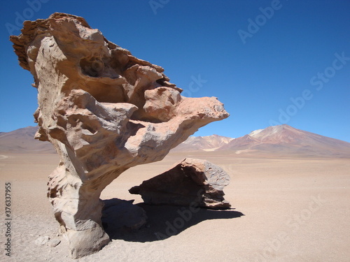 rock outcrop bolivia altiplano sky view tree rock