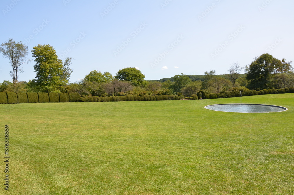 green grass with water fountain and pond and trimmed bushes