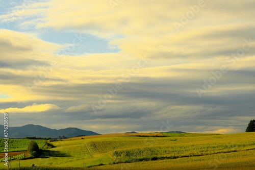 丘からの美しい風景 © yao-mi93