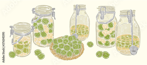 Plum wine, food illustration