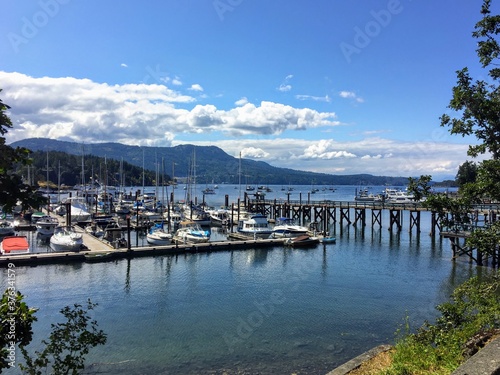 A beautiful view of a large marina full of boats in a large bay on a sunny day with the mountains in the background in Brentwood Bay  Vancouver Island  Canada.