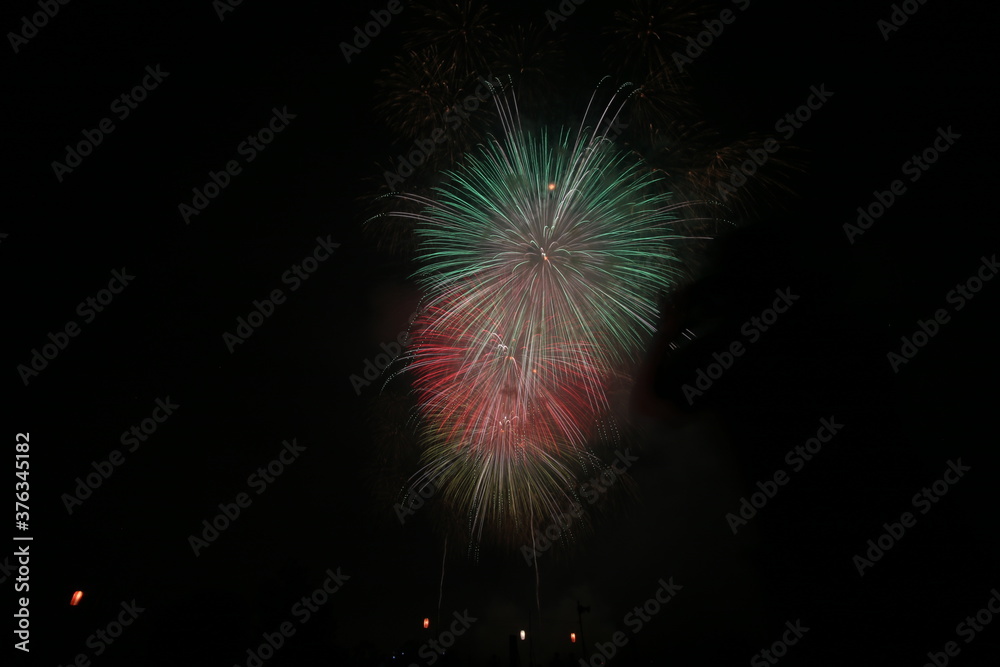2019長岡の花火 2019長岡の花火