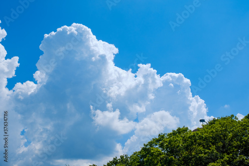 入道雲が広がる真夏の空 積乱雲 8月 背景素材 コピースペース