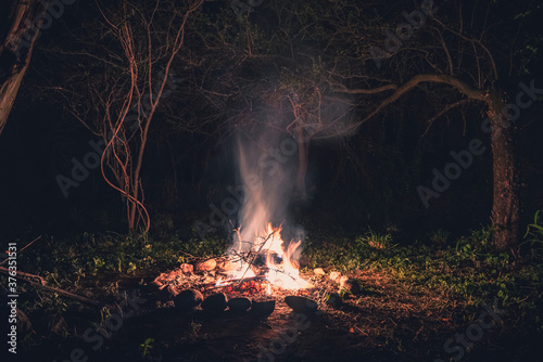 Valokuvatapetti Flames of a campfire at night in a dark spooky forest surrounded by stones shapi
