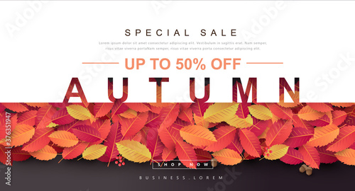 Autumn Gift promotion Coupon banner background. Elegant Autumn Voucher Design. 