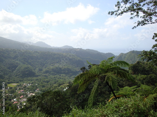 Dominica Rain forest carribean