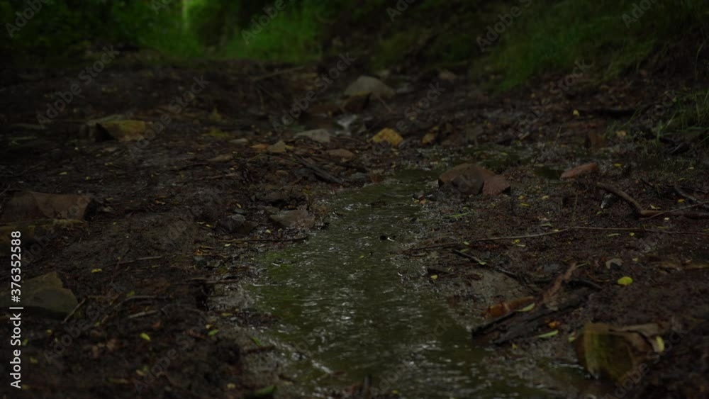 clear running water in a stone stream in nature in a park outdoors clear running water in a stone stream in nature in a park outdoors