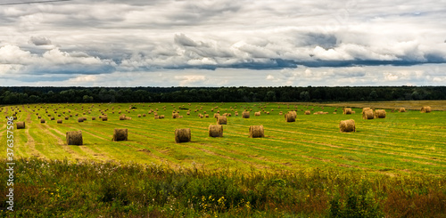 Hay on a field after harvesting wheat in the Smolensk region, Russia