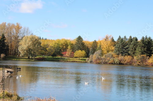 Autumn On The Lake, William Hawrelak Park, Edmonton, Alberta