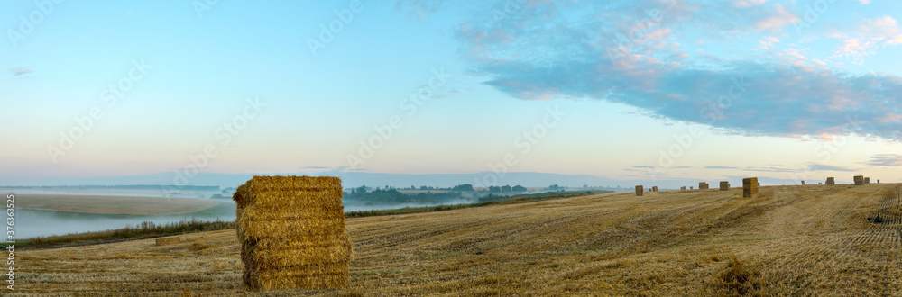 Panorama of haystacks in farm field during foggy sunrise