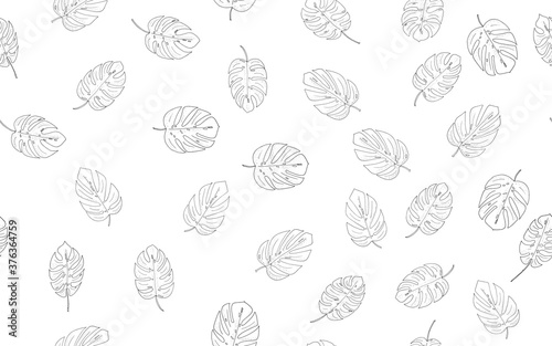 seamless pattern  background from black and white monstera leaves on a white background for design  print  textile  raster copy