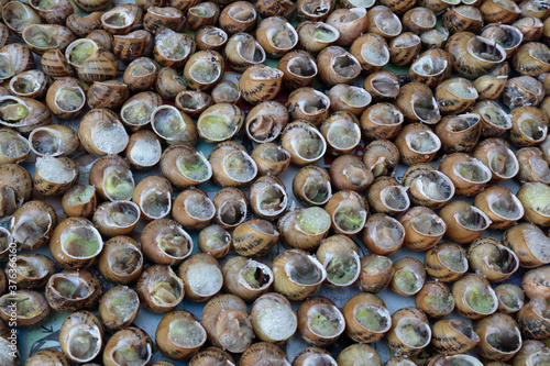 Preparation of snails