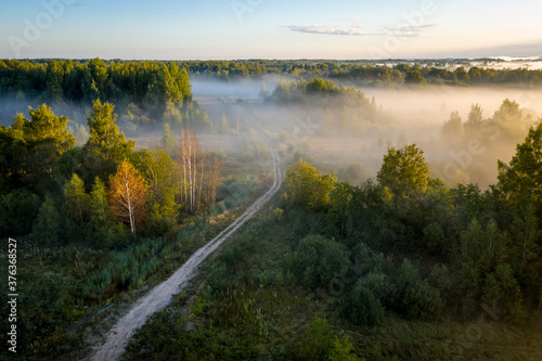 Early morning landscape. Foggy forest. Footpath trough the forest in a thick mysterious fog at sunrise. View from above