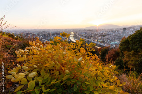 山と住宅地に沈む夕日と黄葉