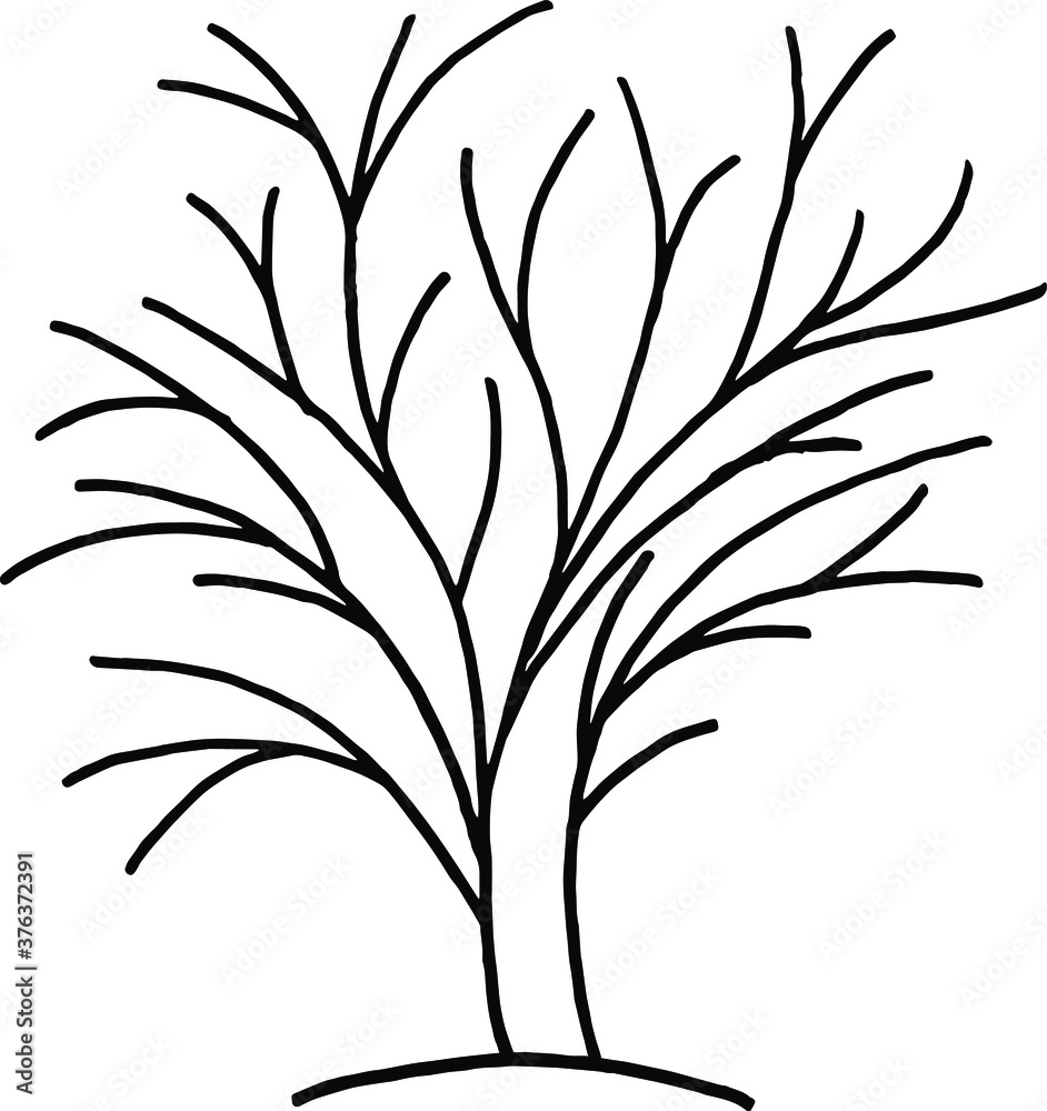 Obraz premium A tree made of lines. Tree symbol. Logo.