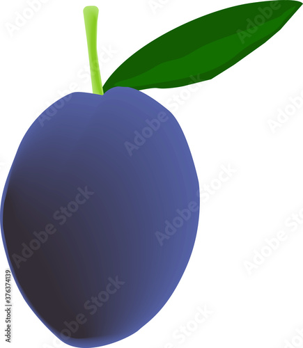 plum with leaf