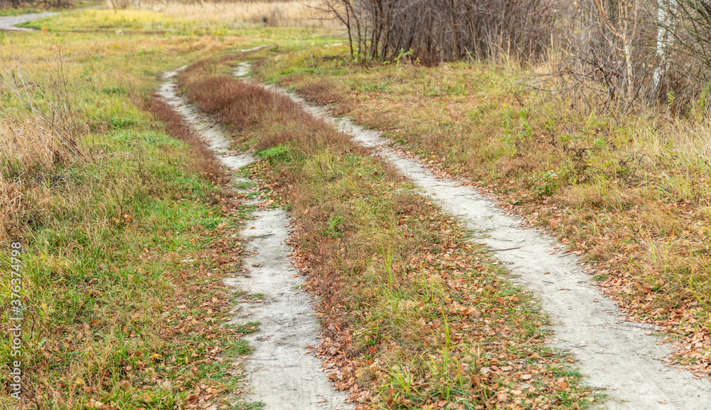 Dirt road in the field