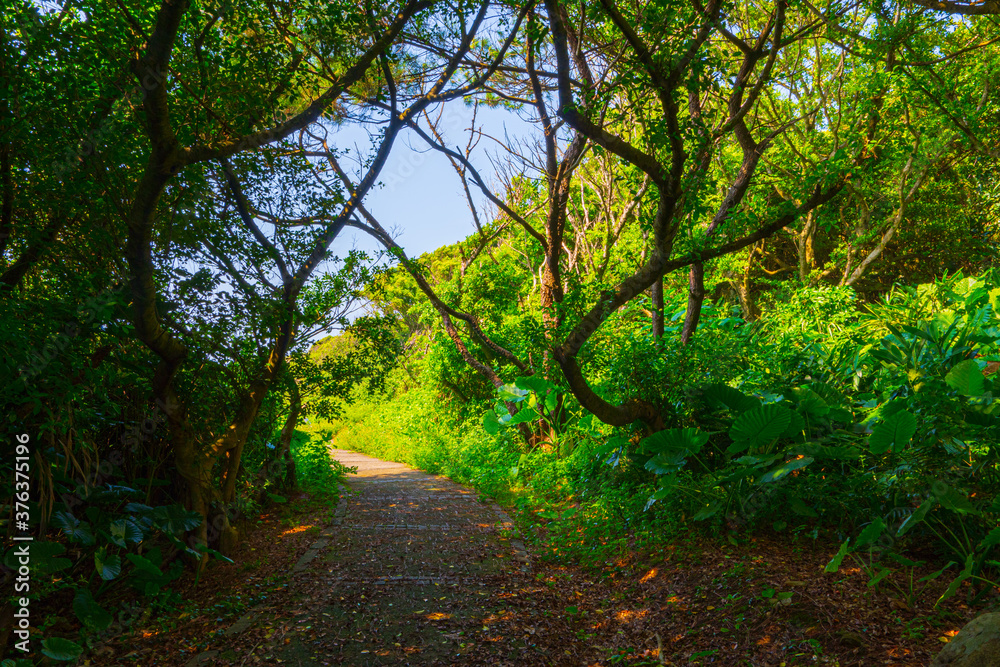 Linshanbi Trail at Sanzhi District in New Taipei City of Taiwan