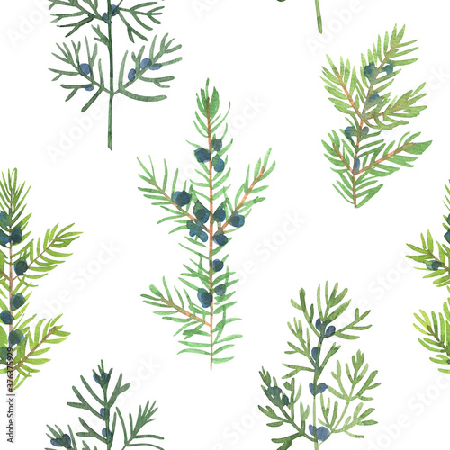Fototapeta Naklejka Na Ścianę i Meble -  Pattern Christmas ornaments from the branches painted with watercolors on white background. Juniper, blue berries, Christmas tree branches