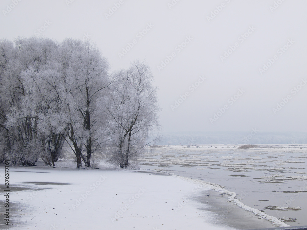 Winter river landscape with snow, gloomy day. Frozen tree, ice covered plant and water. Winter river landscape with snow, gloomy day. Frozen tree, ice covered plant and water.