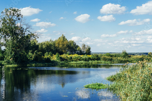 Summer lake background. Small forest pond landscape. Holiday in rural Poland.