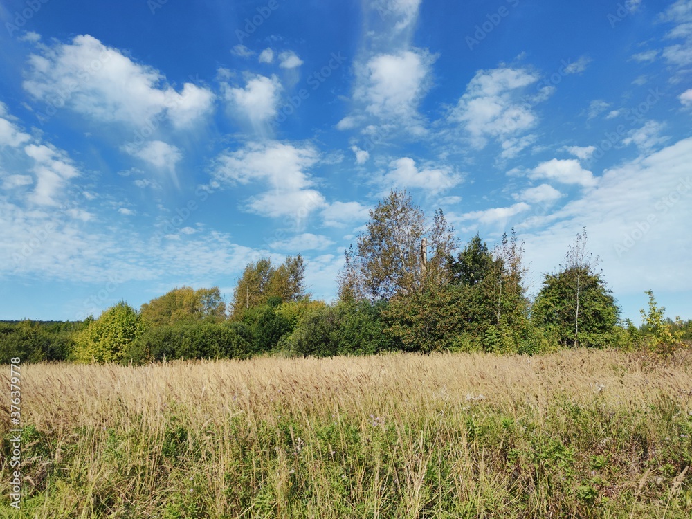 blue sky with beautiful clouds over a field with trees on a sunny day