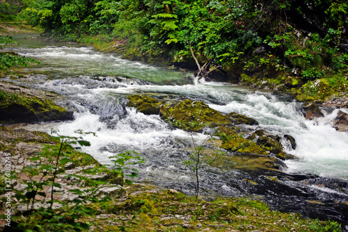 waterfall in the forest
