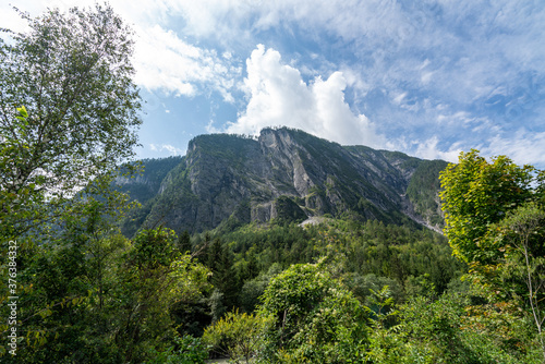 Nature in Tyrol  Austrian Alps