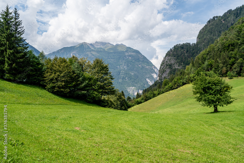 Nature in Tyrol, Austrian Alps Nature in Tyrol, Austrian Alps