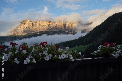 Heiligkreuzkofel in the Alpenglow with flowers, Fanes-Group, Dolomites, South Tyrol, Italy