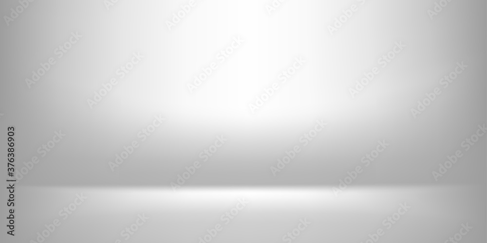 white grey luxurious banner background, gradient grey white for modern background, light shine background, copy space