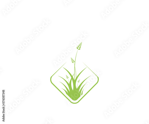 Grass icon logo design template