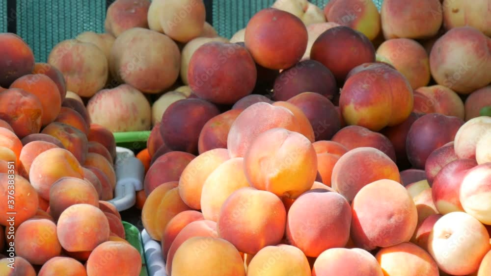 Close up view of ripe beautiful large fresh pink peaches fruits on a street market counter or a vegetable store in summer Close up view of ripe beautiful large fresh pink peaches fruits on a street market counter or a vegetable store in summer