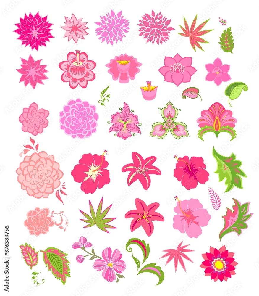 Abstract and tropical pink flowers and decorative leaves set isolated on white background