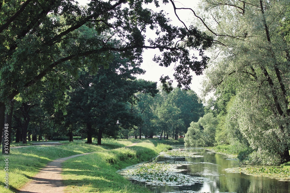 summer in the park summer in the park