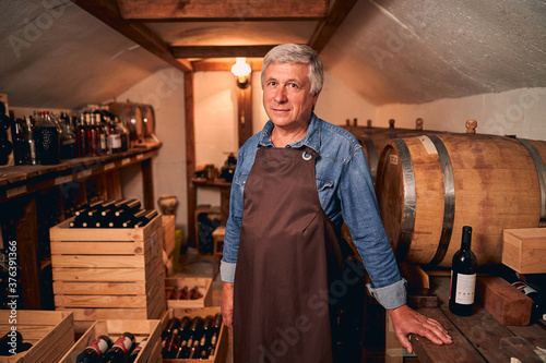 Handsome man in apron standing in wine cellar