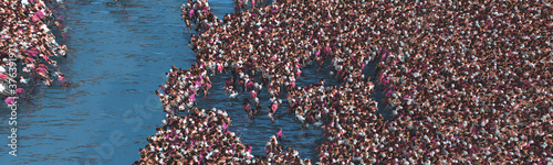  crowd of people