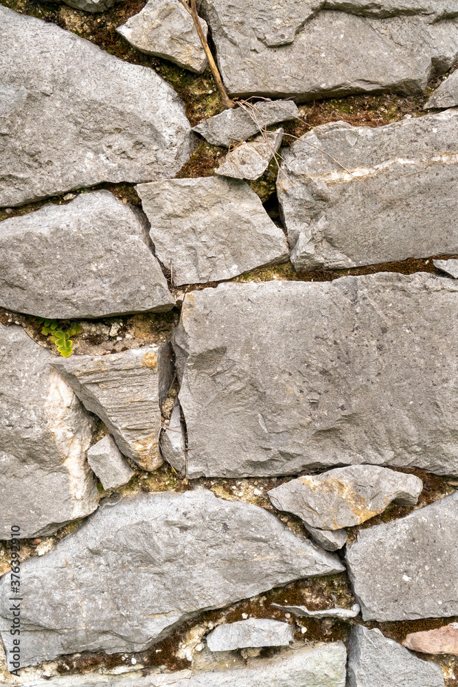Fototapeta premium Background of stone wall close up.