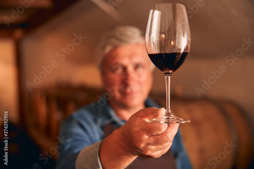 Tableau sur toile Male winemaker hand holding glass of red wine